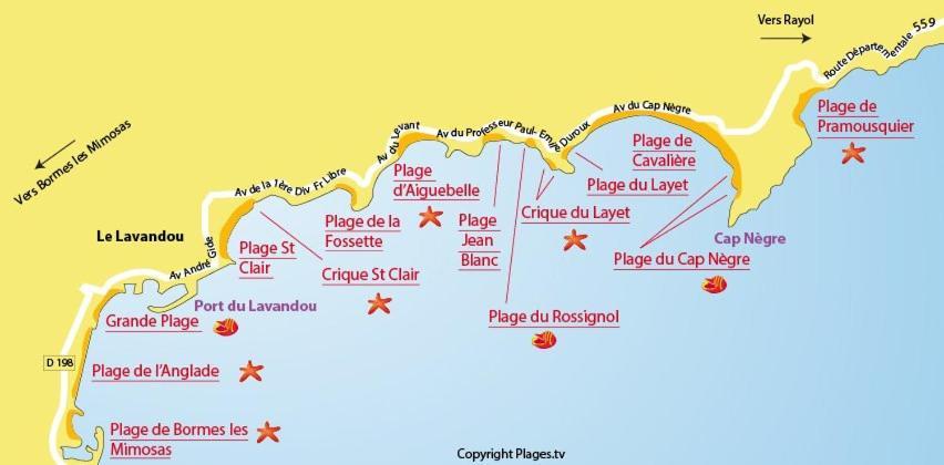 Mazet De La Mer 54M2 Lavandou 100M Plage Avec Piscine Ле-Лаванду Екстер'єр фото